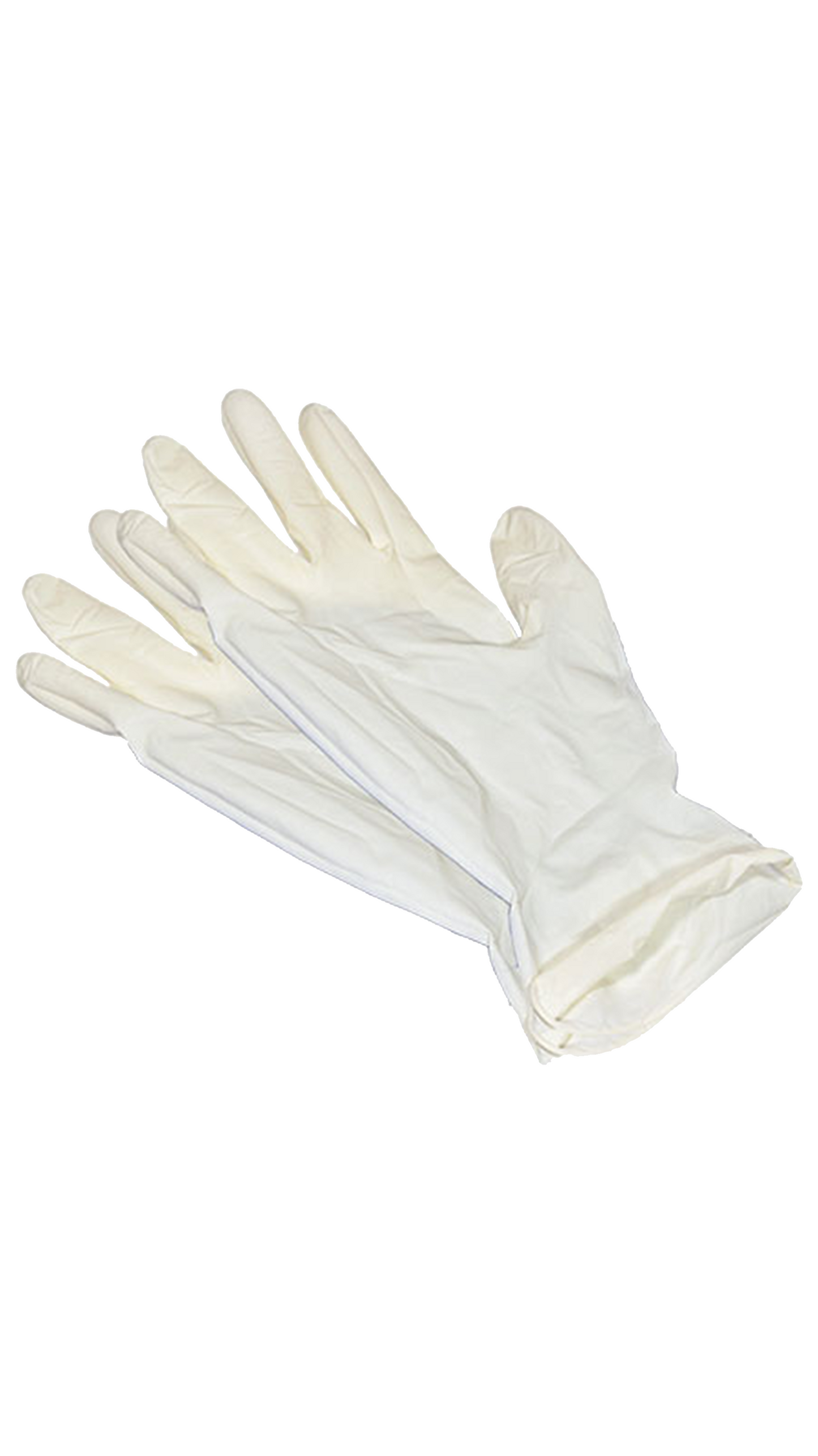 10 Latex Gloves