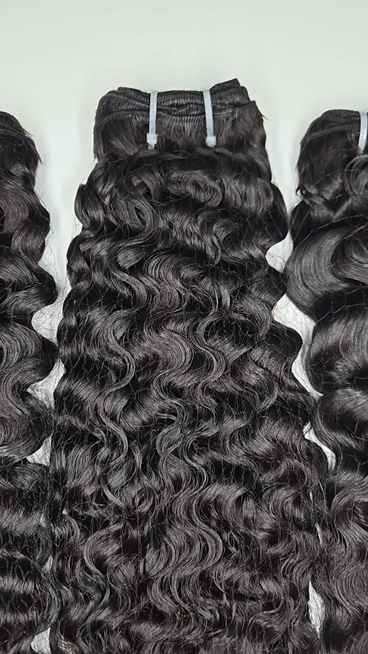 RAW PRO Bundles Burmese Curl