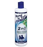 Mane 'n Tail Daily Control 2-in-1 Anti-Dandruff Shampoo & Conditioner – 12 oz product image