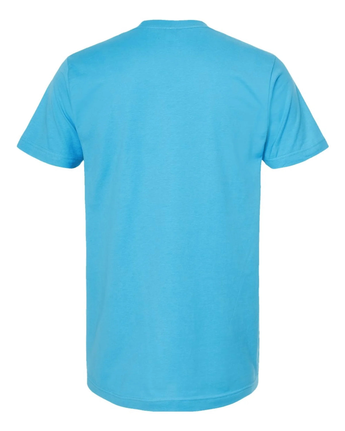 Custom Tultex 202 adult T-shirt in Aqua — back