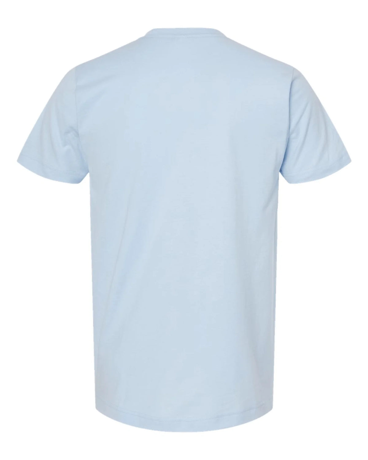 Custom Tultex 202 adult T-shirt in Baby Blue — back